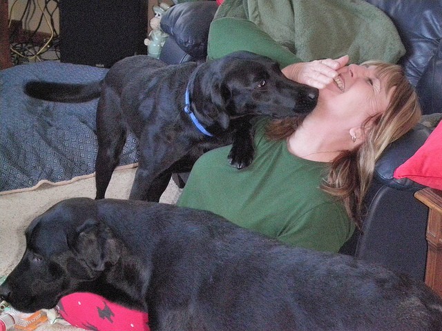 dog licking mom's face
