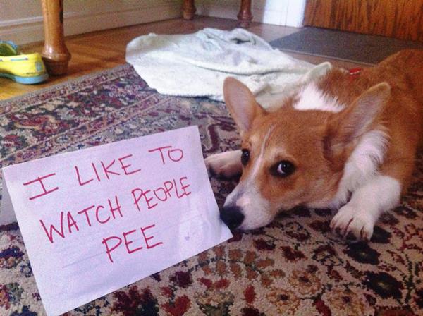 pee