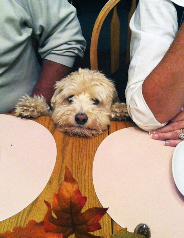 dinner1