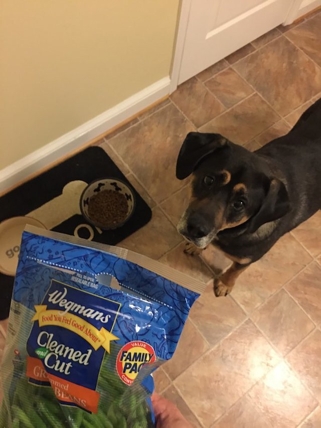 dinner5