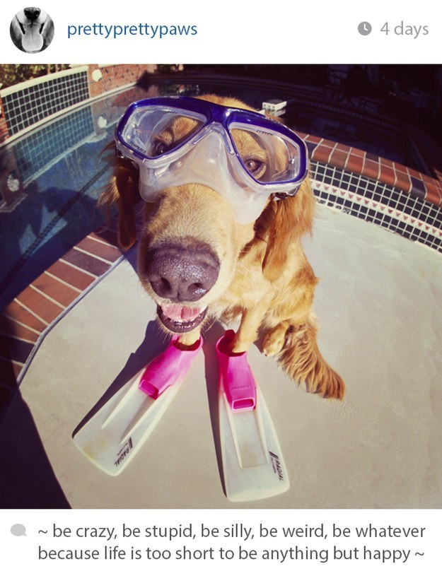 diving
