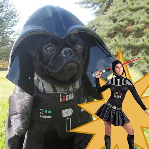 sexy-darth-vader-pug