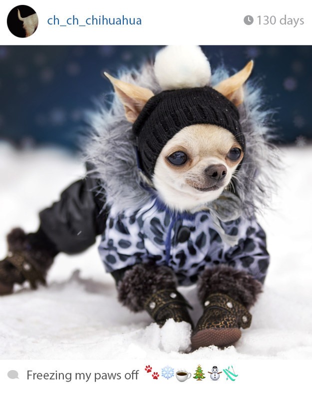 snow
