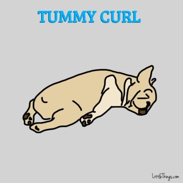 tummy curl