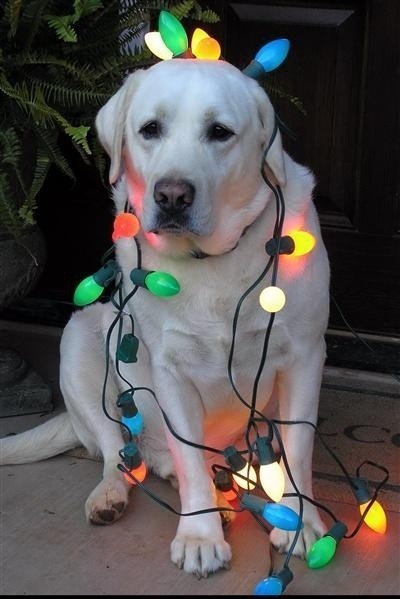 Lab with lights