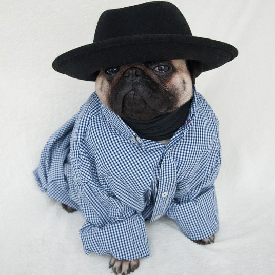 Nutello in a shirt and hat