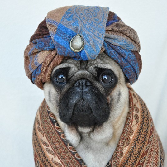 Nutello in a turban
