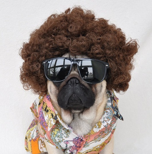 Nutello in an 80s wig