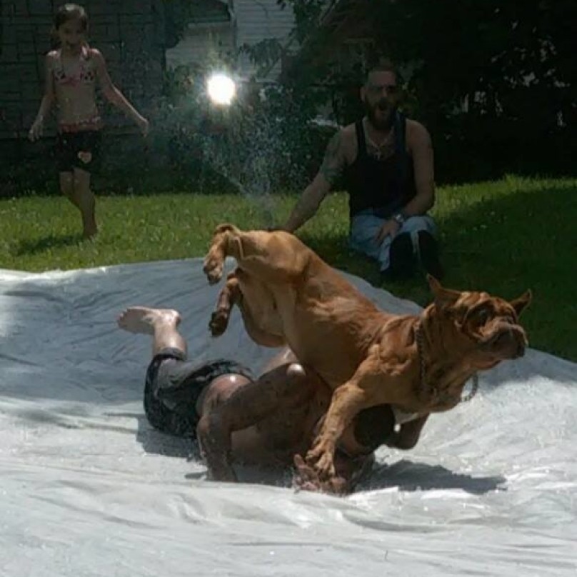 slip n slide