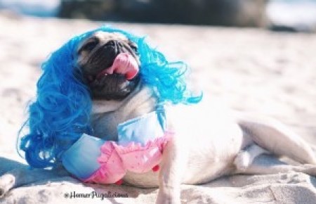 homer at the beach