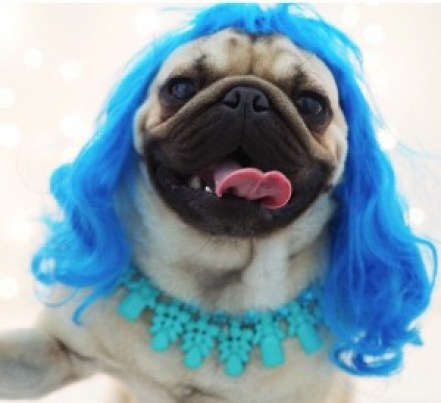homer in a blue wig