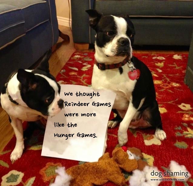 hunger games dogs