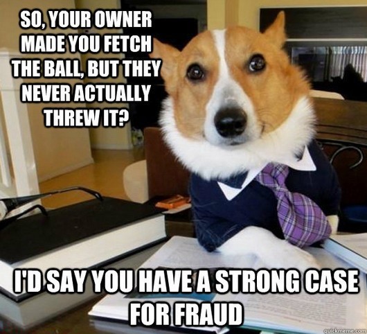 lawyer dog meme