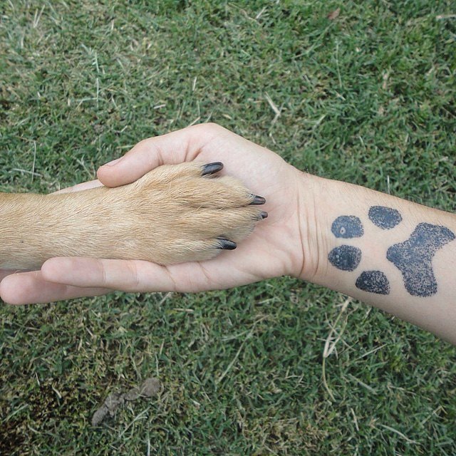 paw print tattoo