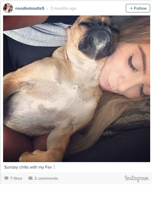 pug and mom