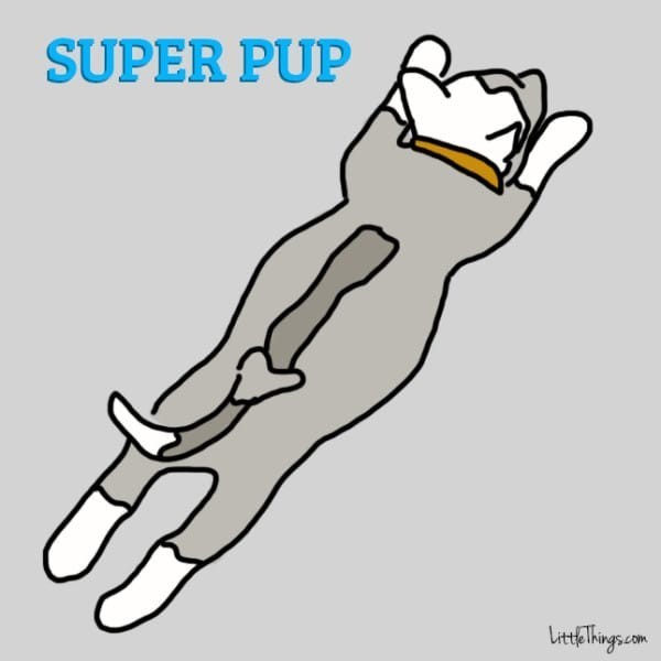 super pup sleeping