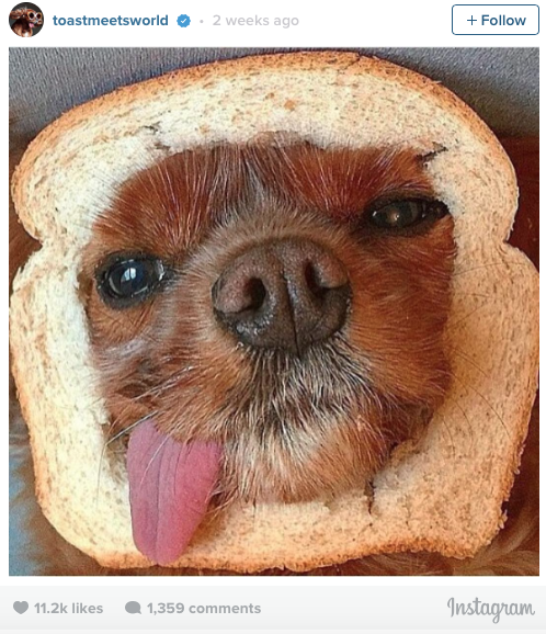 toast