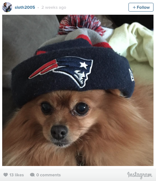 Brady