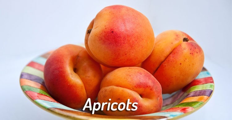 apricots