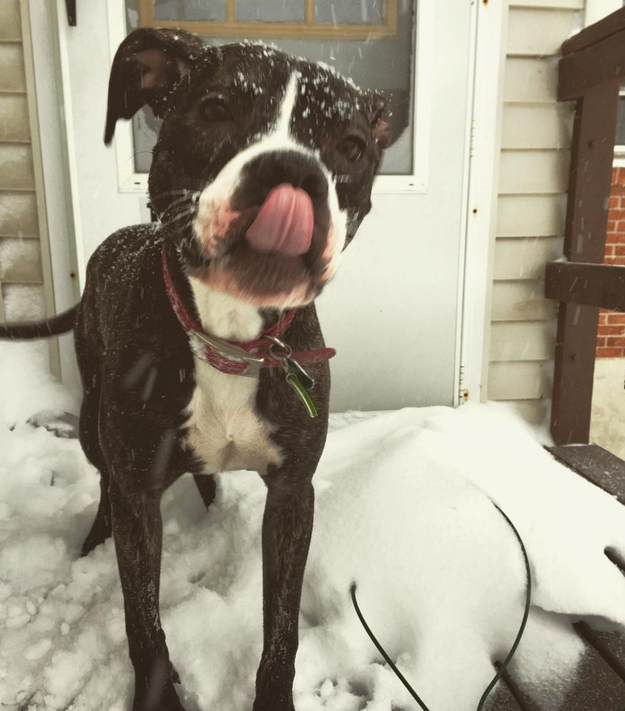 snowflake