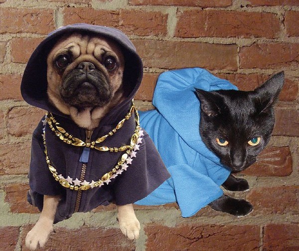 thug pug 6