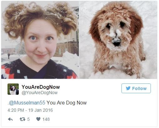girl and dog in snow doppelganger