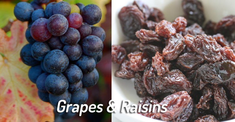 grapes and raisins