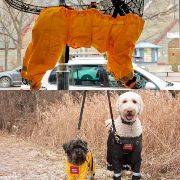 muddy pants 