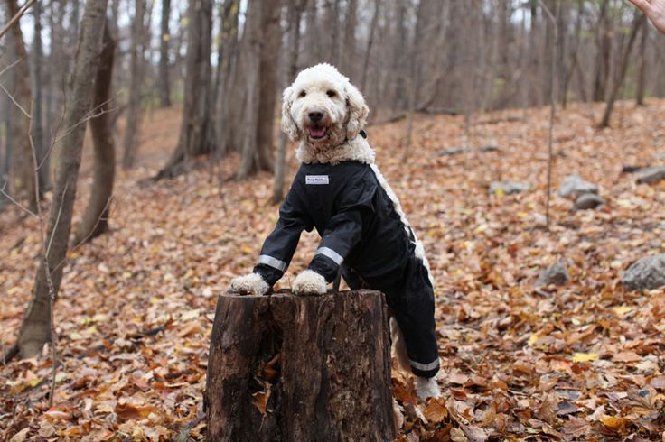 muddy pants 
