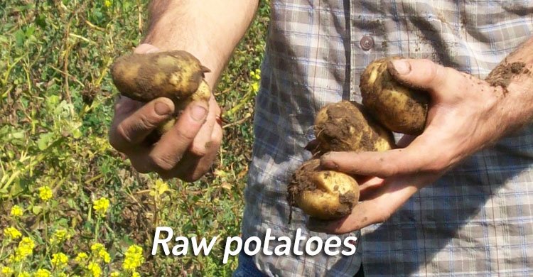 raw potatoes