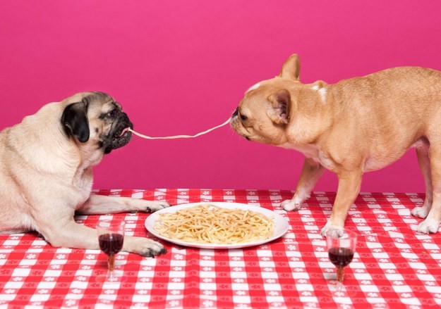 sharing spagetti