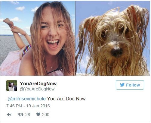 wet girl and dog doppelganger