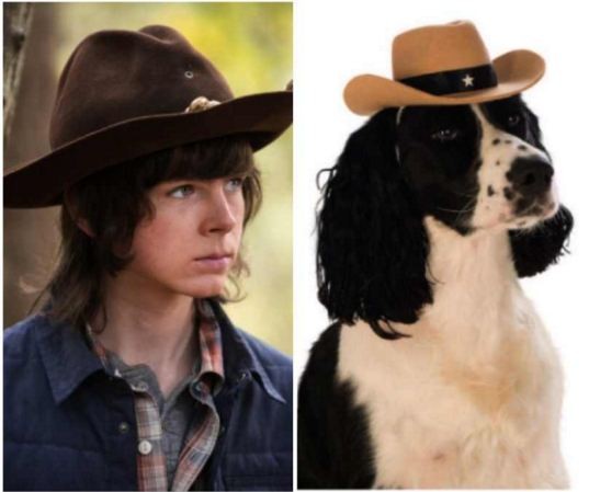 Carl Walking Dead Dog