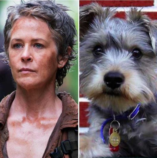 Carol Walking Dead Dog
