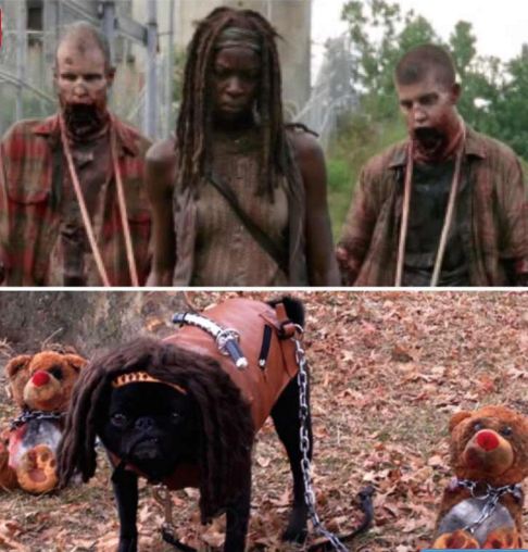 Michonne Walking Dead Pug