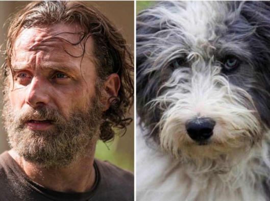 Rick The Walking Dead Dog