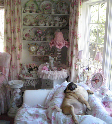 pug tea