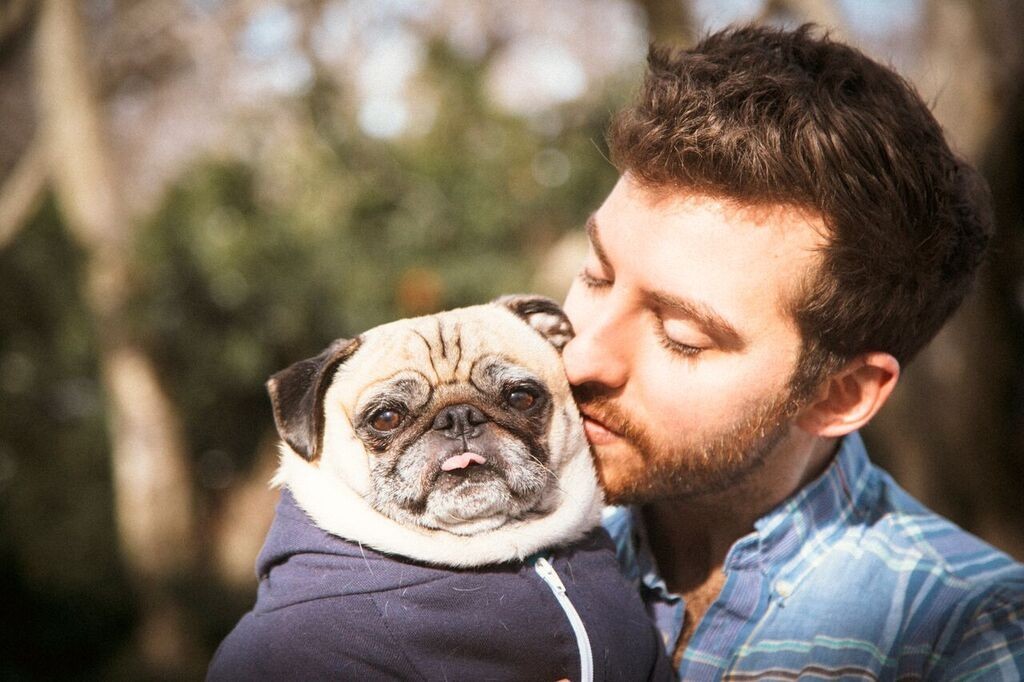 pug valentine 