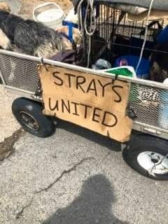 strays united