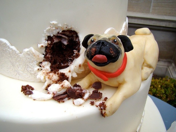 naughty pug cake