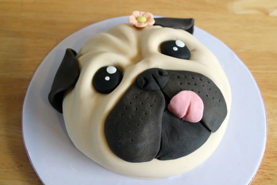 pug cakes