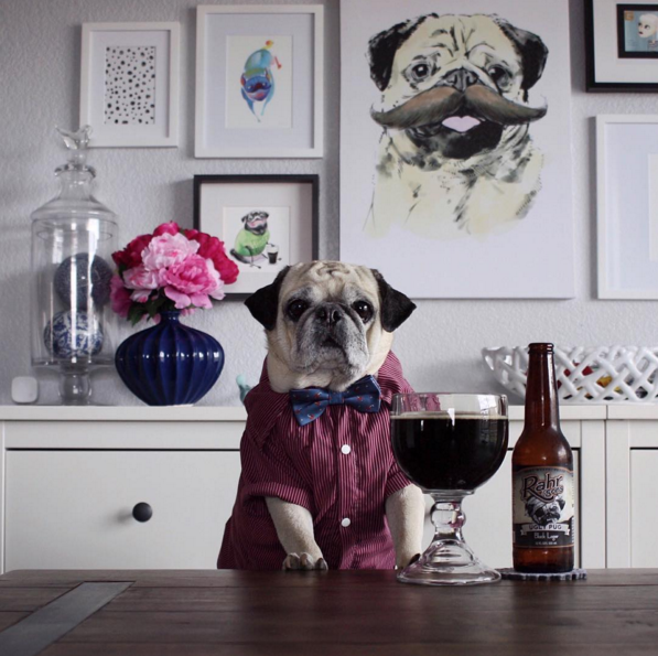 pugtender