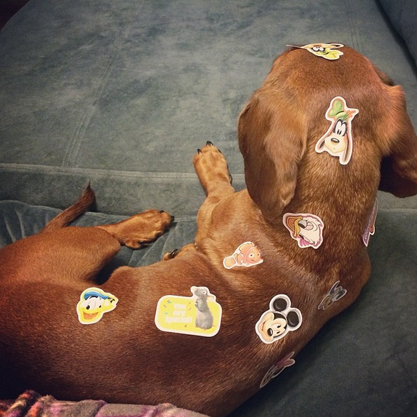 sticker weenie