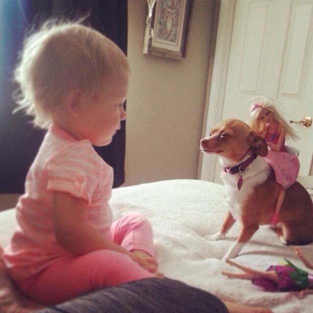 barbie dog