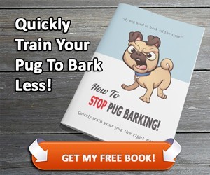 How to Stop Pug Barking Guide