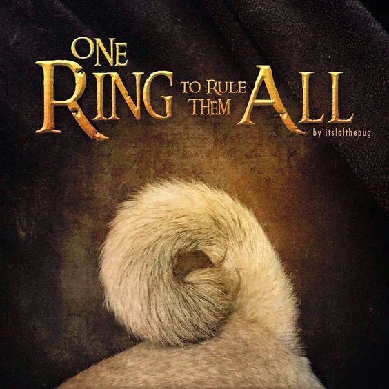 one ring to rule them all