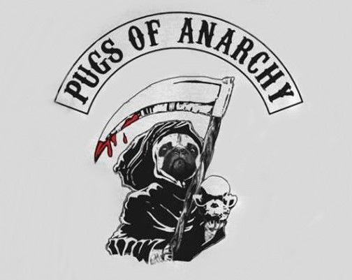 pugs of anarchy