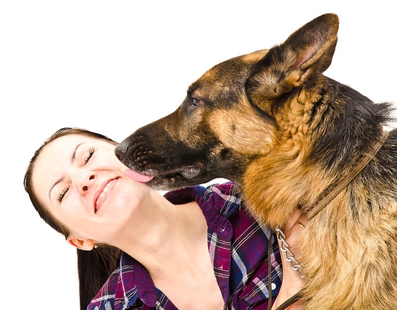 6 Signs Your German Shepherd Needs to See the Vet
