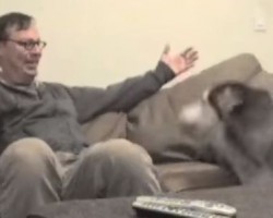 [VIDEO] This is Proof That Dogs Love Hugs… How Sweet is This?!