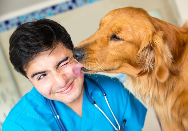 Things You Do That Drive Your Vet Crazy Leashes Optional